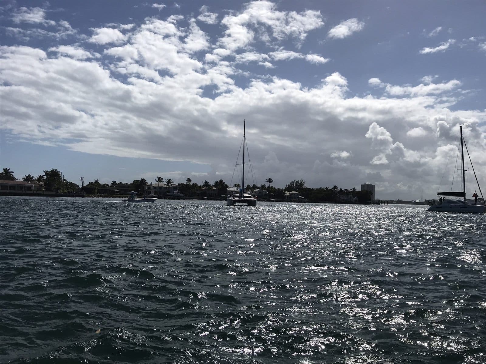 Manatee Lagoon: WPB's Most Unexpected Wildlife Destination