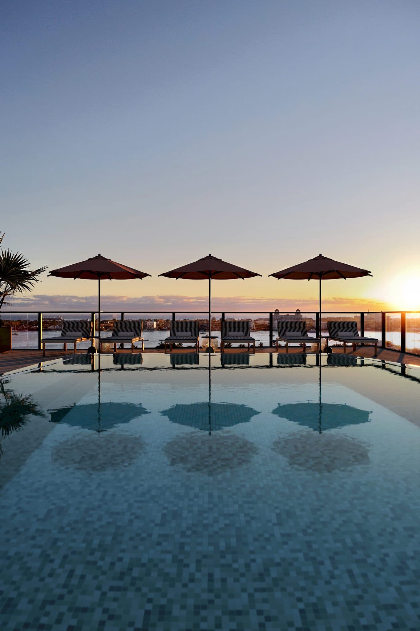 Nora House rooftop pool — rendering courtesy of Rontо Group