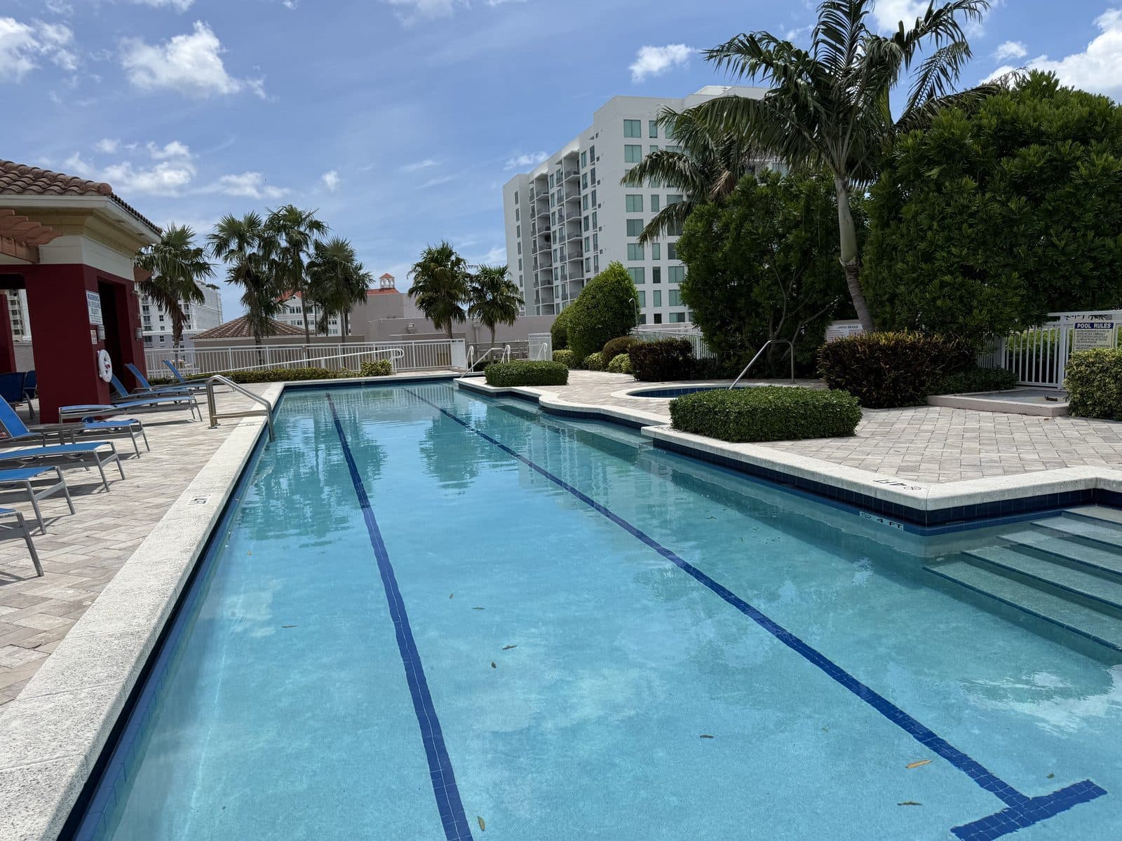 The Whitney — The rooftop lap pool — full-length lane lines and travertine deck above Evernia Street
