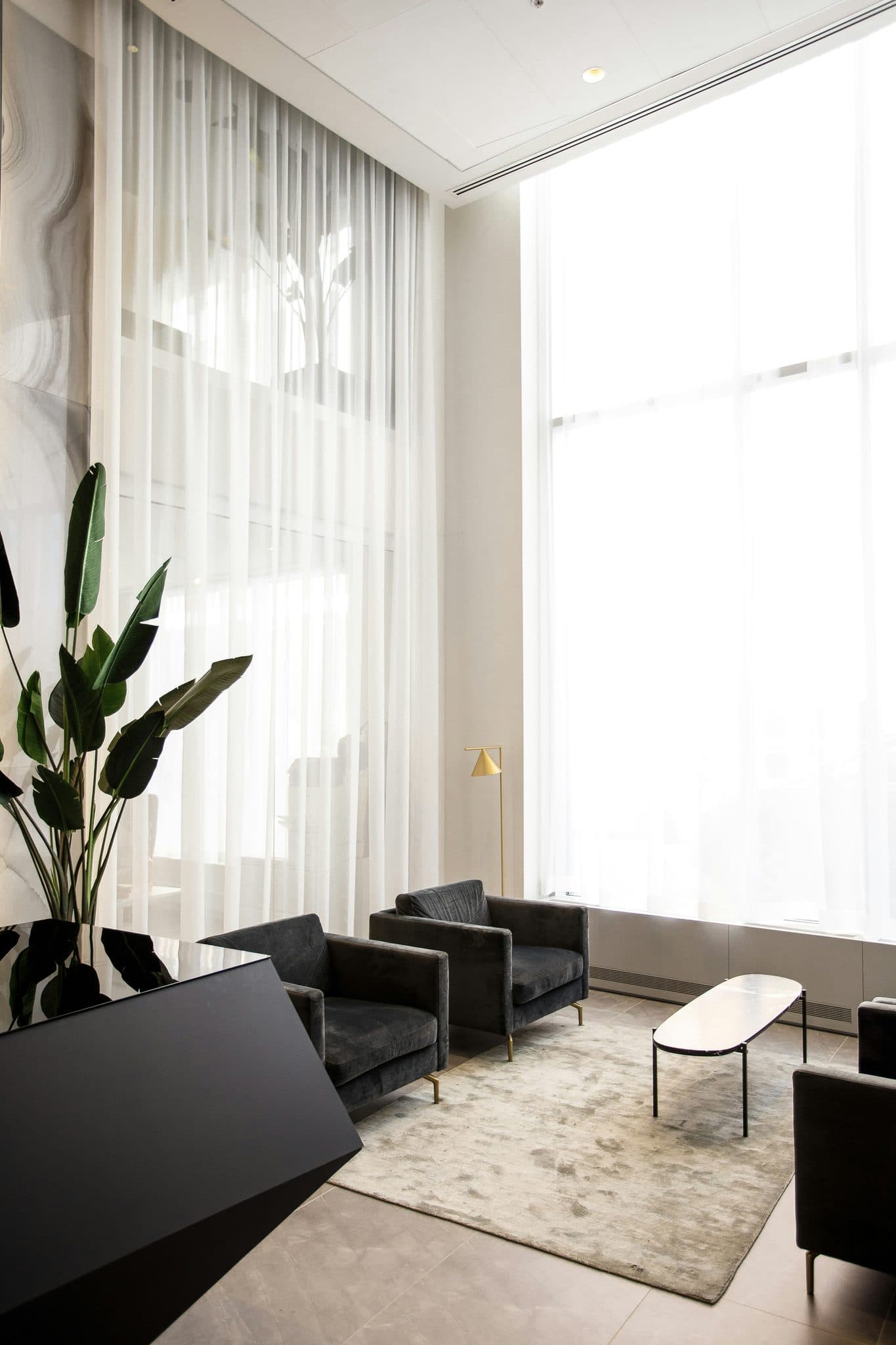 City Palms — photo 1