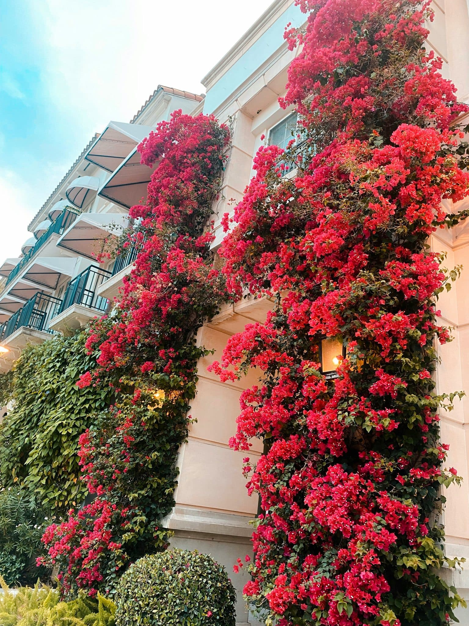 Best Condos Under $500K in West Palm Beach