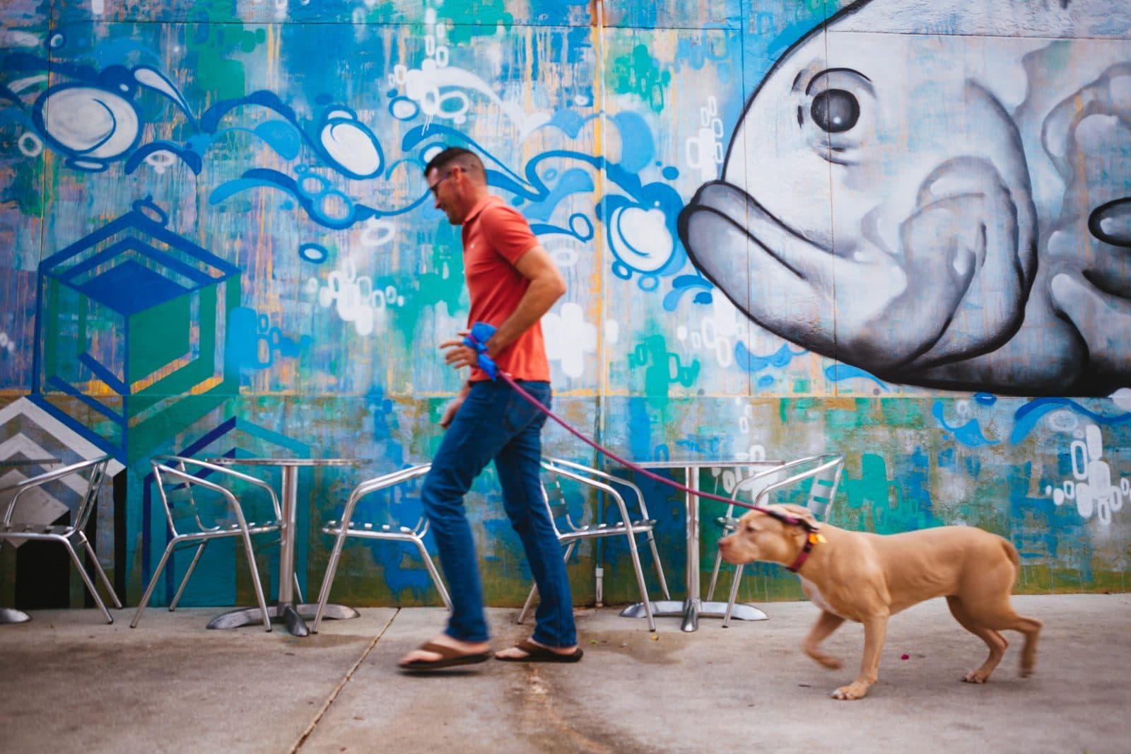 Northwood Village: WPB's Arts District — and What's Coming Next