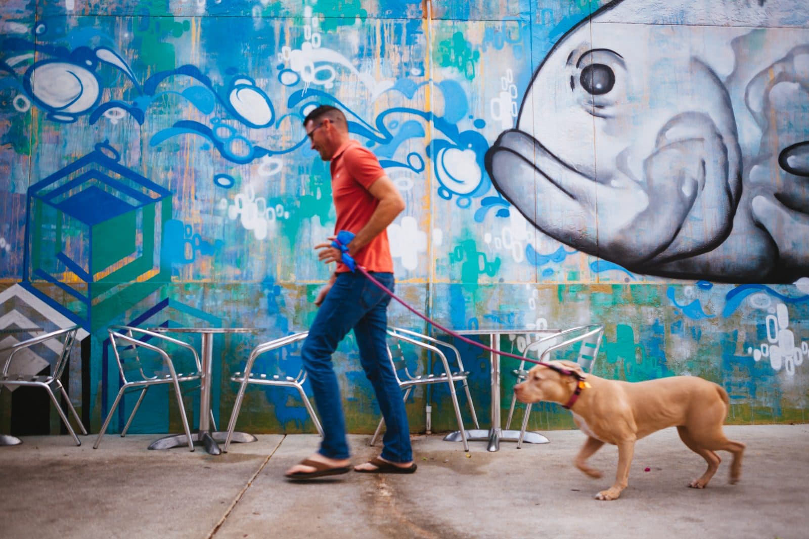 Northwood Village: WPB's Arts District — and What's Coming Next