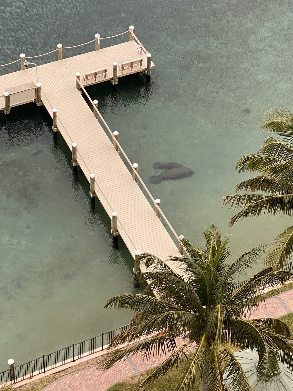 Manatee Lagoon: WPB's Most Unexpected Wildlife Destination
