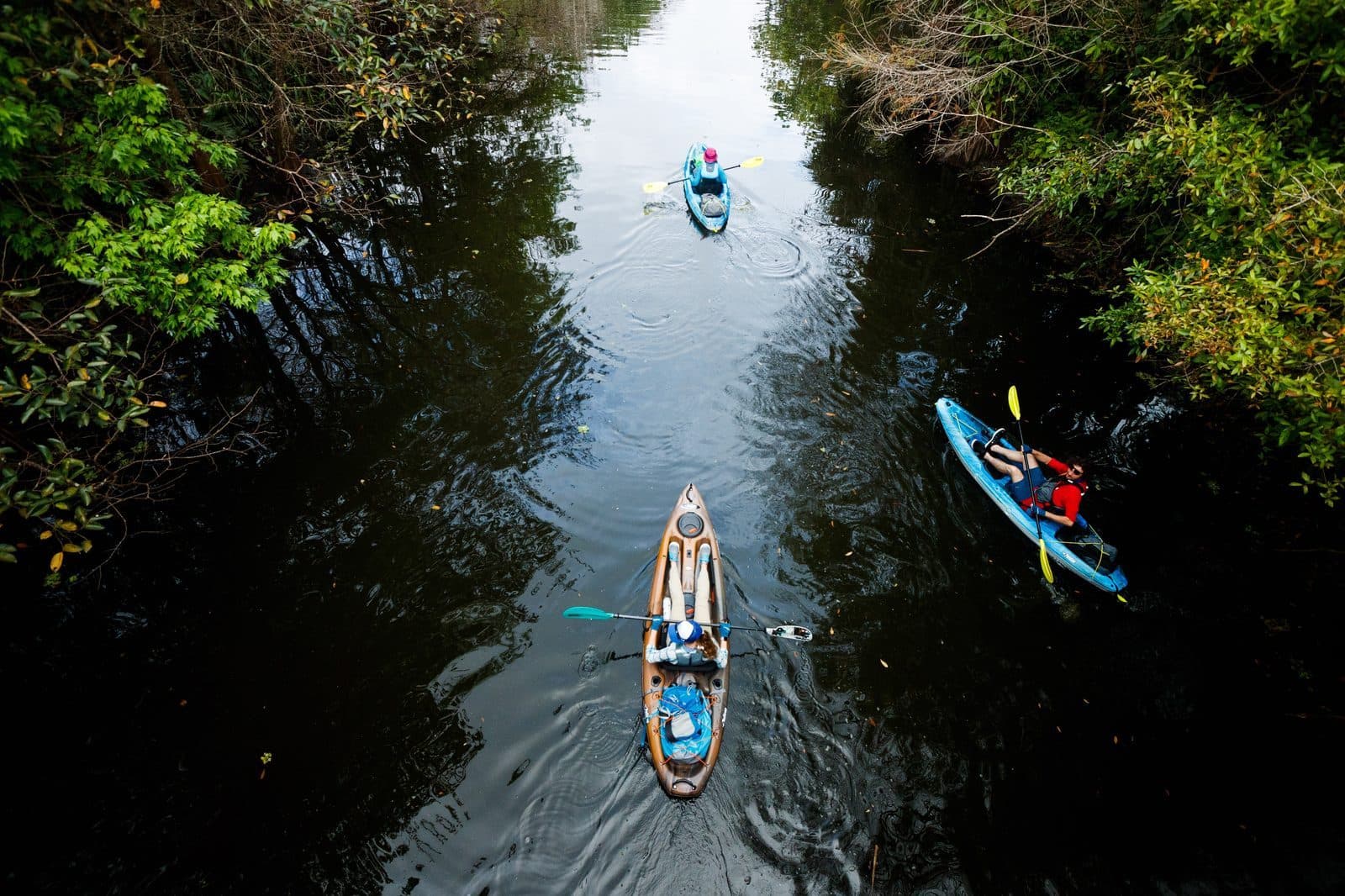 Grassy Waters Preserve: Serious Nature 20 Minutes from Downtown