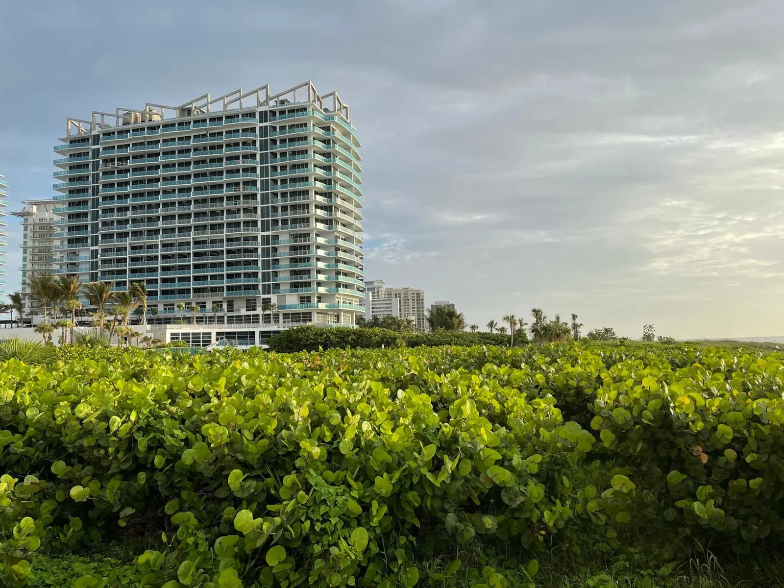 Amrit, a white oceanfront tower with teal glass balconies and a rooftop frame, seen over the sea grape dune