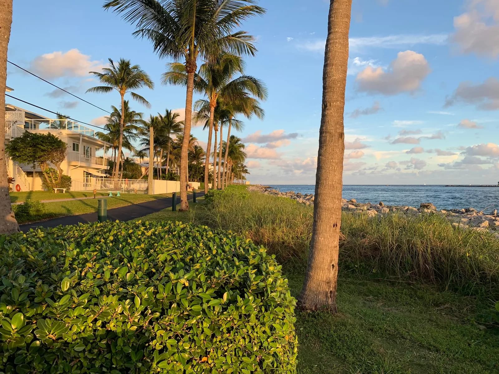 A palm-lined path past low-rise buildings beside the Lake Worth Inlet in Palm Beach Shores
