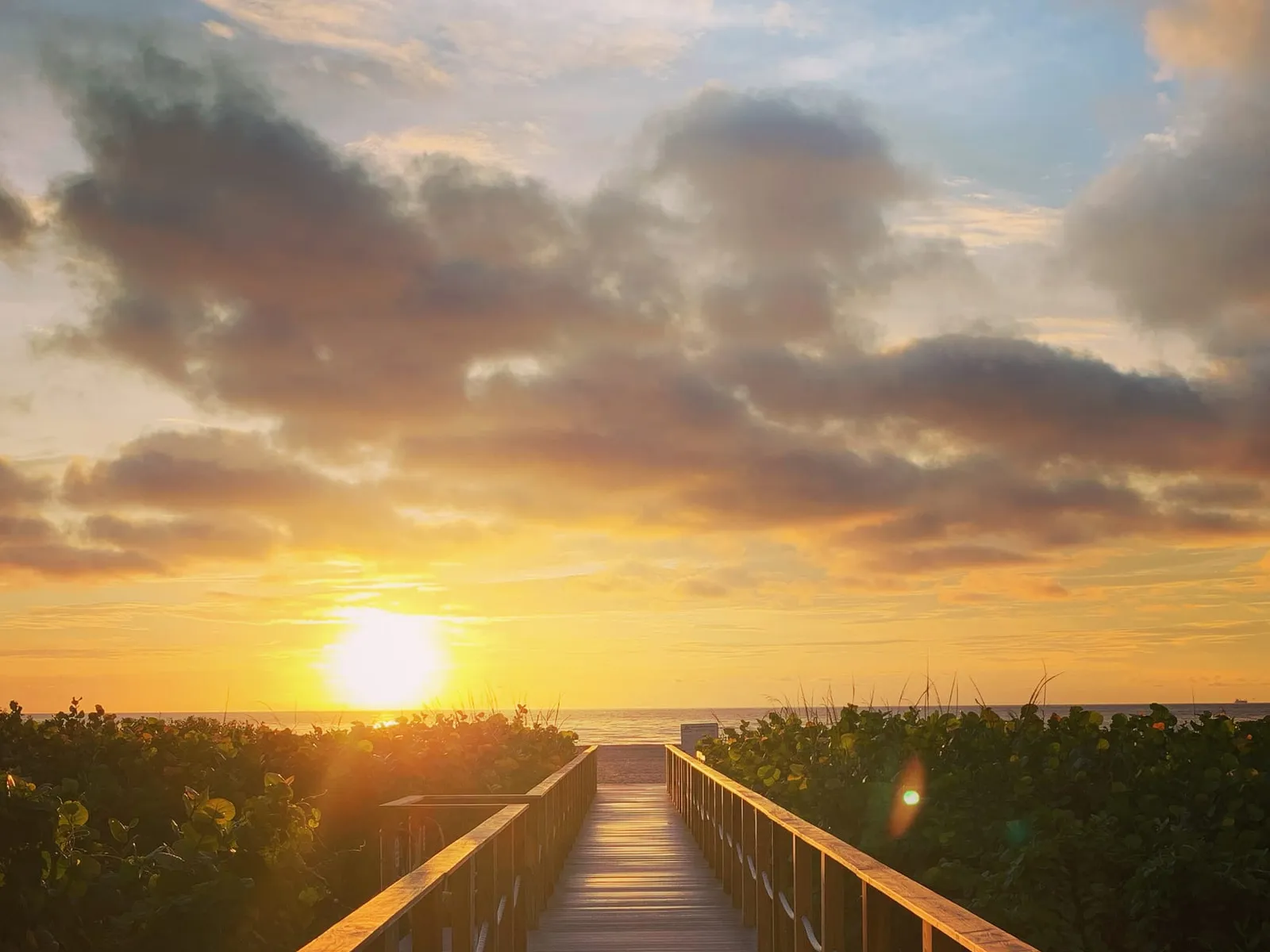 A wooden dune walkover through sea grape to the beach at sunrise