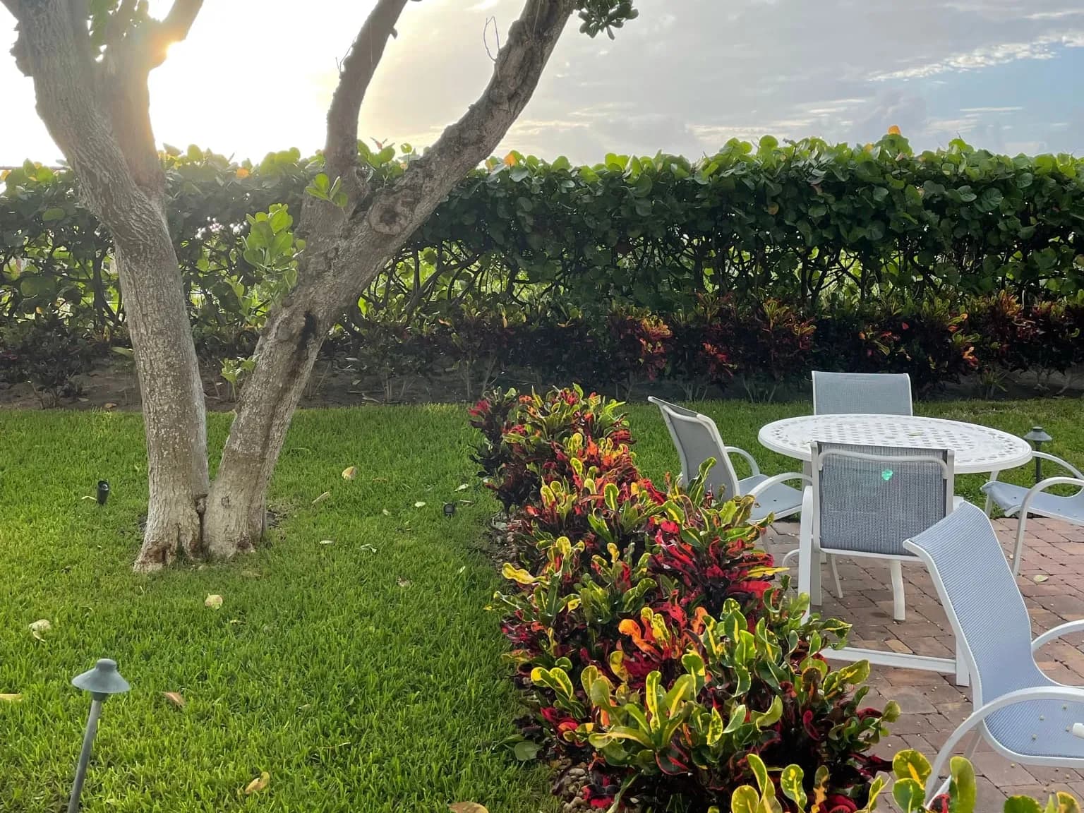 A patio table and chairs on the Tiara grounds, beside a lawn, crotons and a sea grape hedge