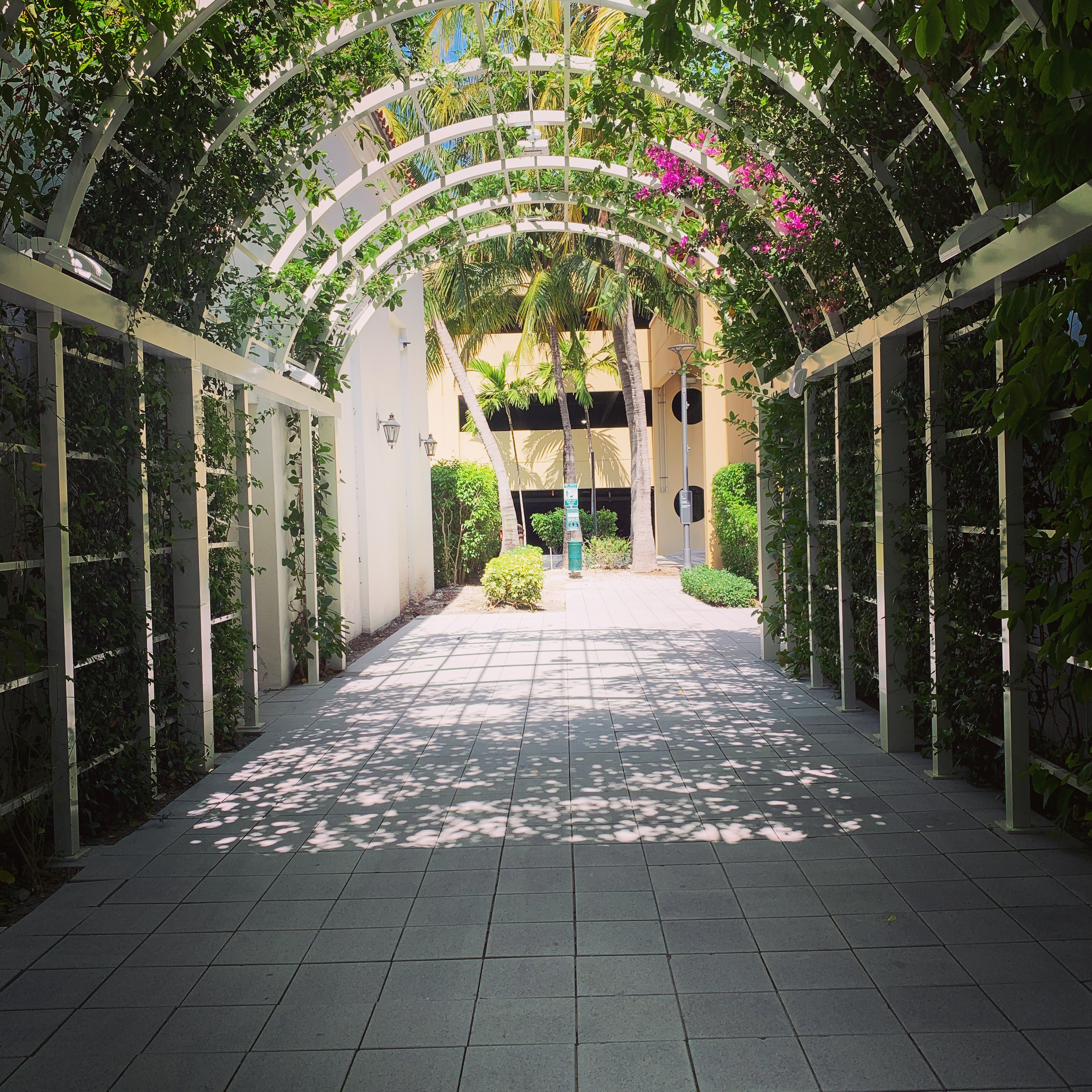 Banyan Tree Residences West Palm Beach condos in West Palm Beach, FL
